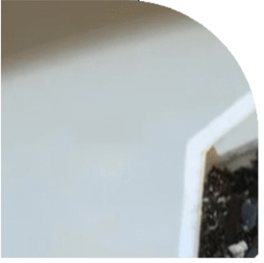 pic-1
